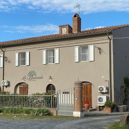 Agriturismo Le Biricoccole Vada Ngoại thất bức ảnh