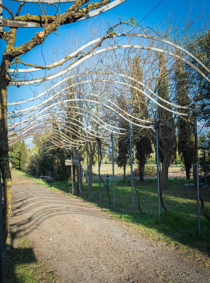 Agriturismo Le Biricoccole Vada Ngoại thất bức ảnh