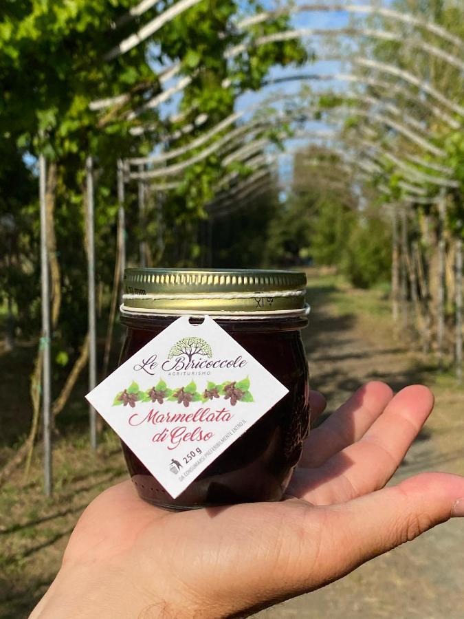Agriturismo Le Biricoccole Vada Ngoại thất bức ảnh
