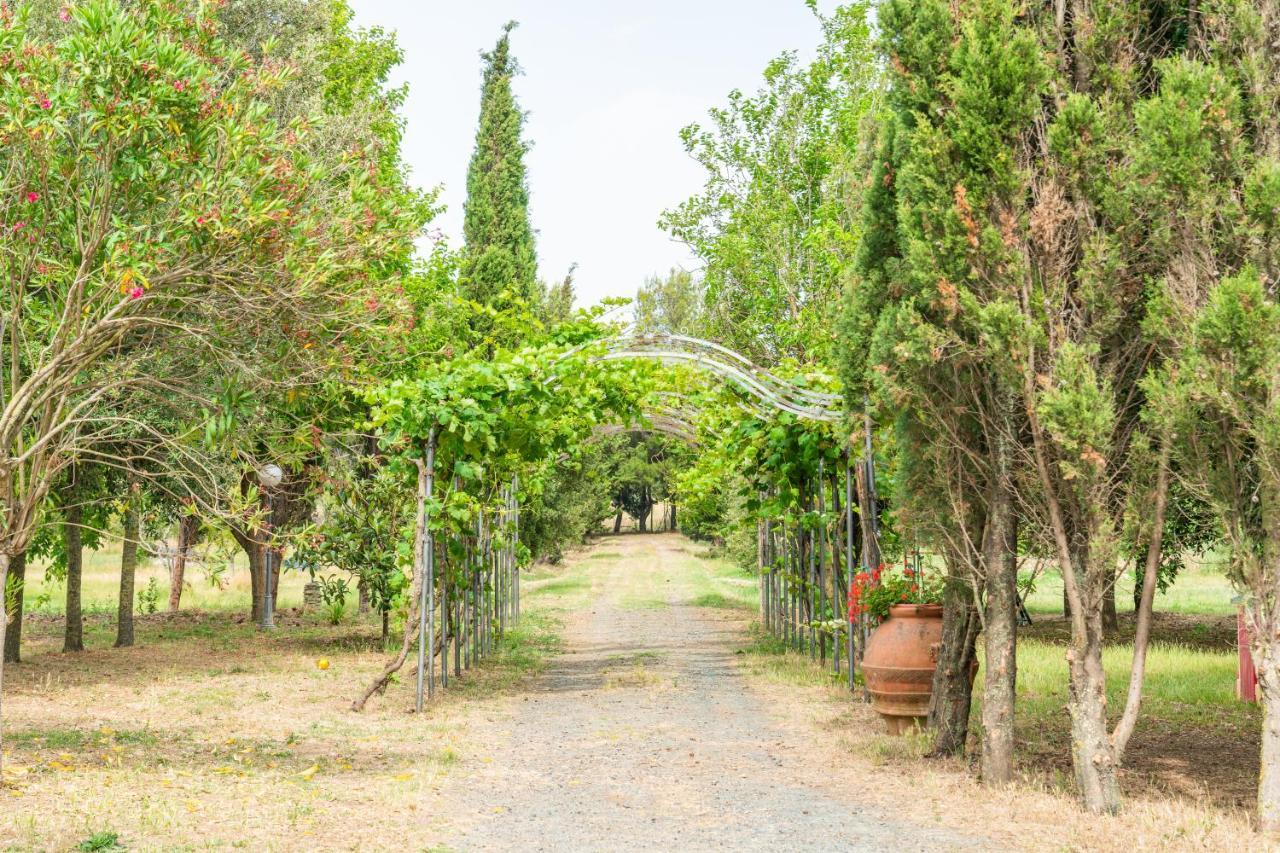 Agriturismo Le Biricoccole Vada Ngoại thất bức ảnh