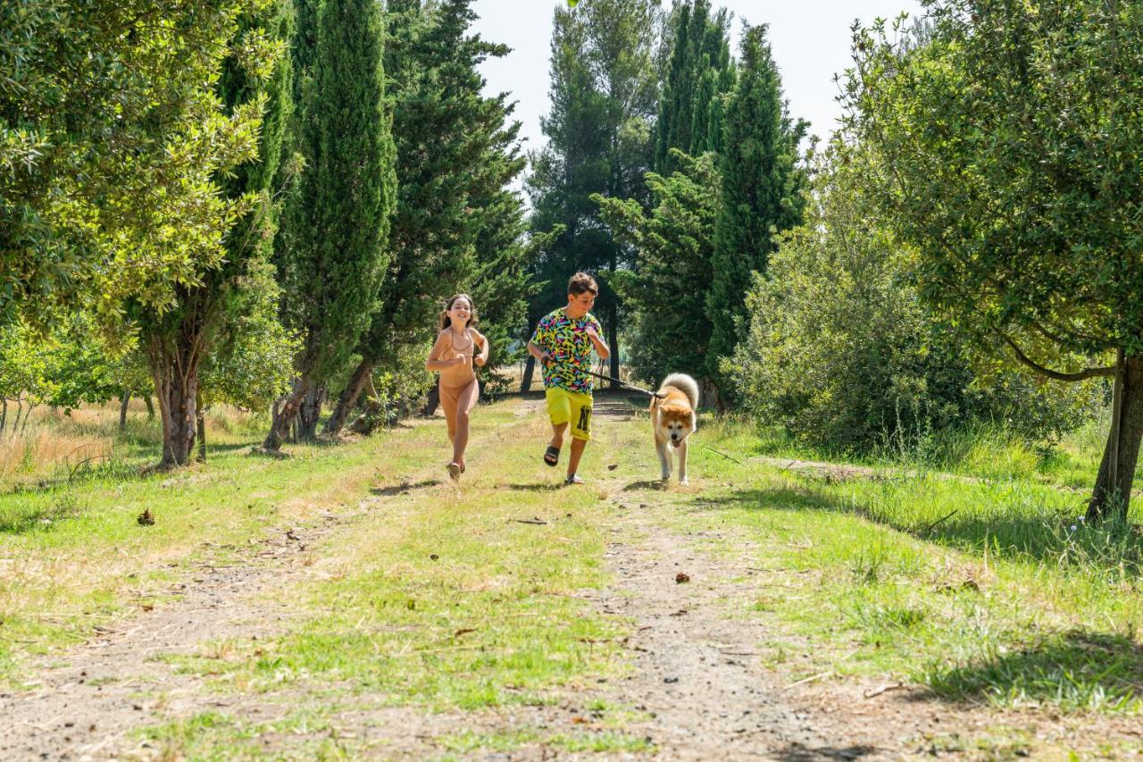 Agriturismo Le Biricoccole Vada Ngoại thất bức ảnh